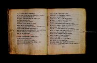 Parma, Palatina 3867
