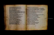 Parma, Palatina 3867