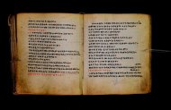 Parma, Palatina 3867