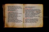 Parma, Palatina 3867