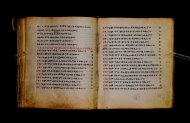 Parma, Palatina 3867
