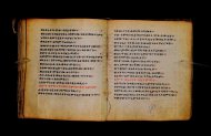 Parma, Palatina 3867