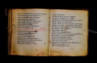 Parma, Palatina 3867