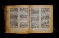 Parma, Palatina 3867