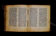 Parma, Palatina 3867