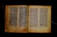Parma, Palatina 3867