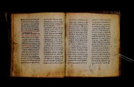 Parma, Palatina 3867