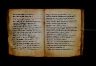Parma, Palatina 3868