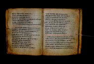 Parma, Palatina 3868