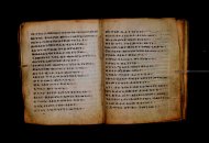 Parma, Palatina 3868