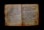 Parma, Palatina 3868
