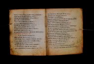 Parma, Palatina 3868