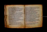 Parma, Palatina 3868