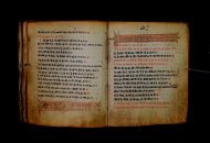 Parma, Palatina 3868