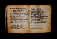Parma, Palatina 3868