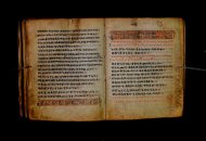 Parma, Palatina 3868