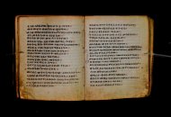 Parma, Palatina 3868