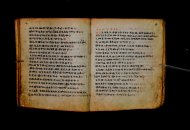 Parma, Palatina 3868
