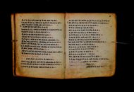 Parma, Palatina 3868