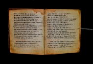 Parma, Palatina 3868