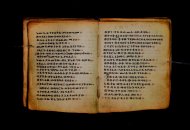 Parma, Palatina 3868