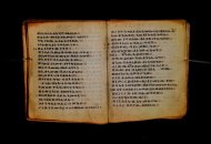 Parma, Palatina 3868