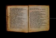 Parma, Palatina 3868
