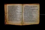 Parma, Palatina 3868