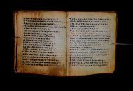 Parma, Palatina 3868