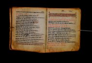 Parma, Palatina 3868
