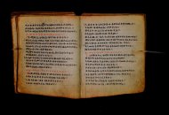 Parma, Palatina 3868