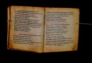 Parma, Palatina 3868