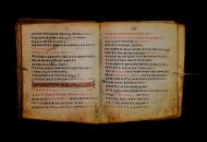 Parma, Palatina 3868