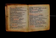 Parma, Palatina 3868