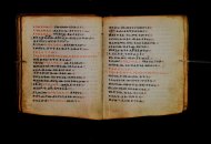 Parma, Palatina 3868