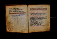 Parma, Palatina 3868