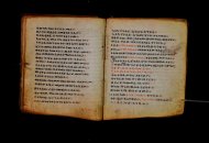Parma, Palatina 3868