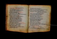 Parma, Palatina 3868