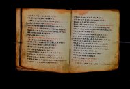 Parma, Palatina 3868