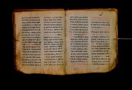 Parma, Palatina 3868