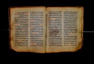 Parma, Palatina 3868