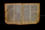 Parma, Palatina 3868