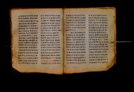 Parma, Palatina 3868