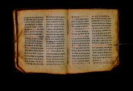 Parma, Palatina 3868
