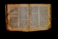 Parma, Palatina 3868