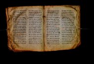 Parma, Palatina 3868